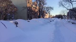 Blizzard of 2016 Brings Record Snow to Baltimore