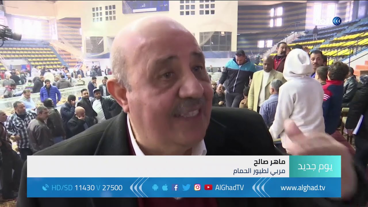 يوم جديد - معرض لسلالات الحمام النادر في مصر