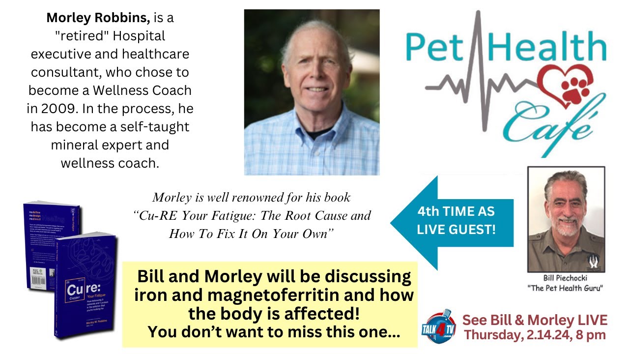 Iron in the body - is it really safe?