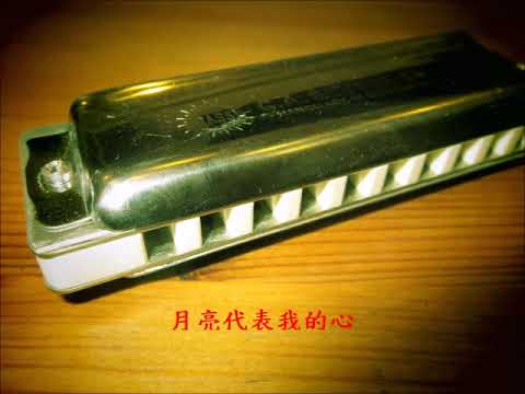 月亮代表我的心 藍調口琴 十孔口琴 key:LD