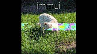 [Breakcore] immui - live internet
