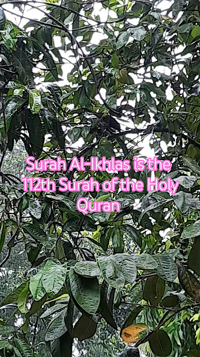 Surah Al-Ikhlas is the 112th Surah of the Holy Quran #song #shorts #short #shortvideo #viral