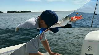 Cape Cod Trip September 2018