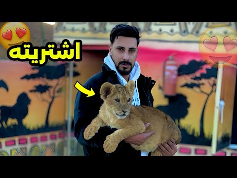اشتريت اسد صغير وهربيه في مزرعتي