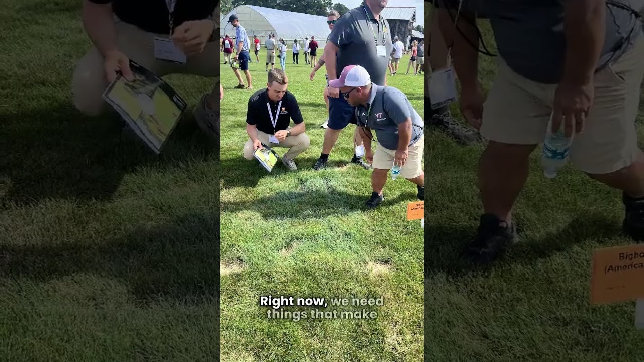 2024 Field Day Stop- Fine Fescue