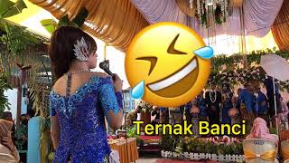 Download Lagu VIRAL!!! Cucuk lampah Velicha Anaconda ~ Manggolone iMut (ternak banci) MP3