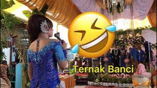 VIRAL!!! Cucuk lampah Velicha Anaconda ~ Manggolone iMut (ternak banci)