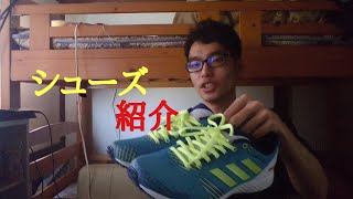 【うしコレ】今履いてるシューズ紹介動画(笑)【ランシュー好き】