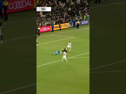 Why Didnt He Just Take The Shot