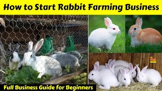 How to Start Rabbit Farming Business || Full Business Guide For Beginners