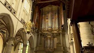 Organist Frank van Wijk, Bach’s Toccata in F major, BWV 540 - Grote Sint-Laurenskerk, 4 July 2025