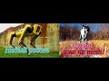 (ОЗВУЧКА МНОГО МАТА + 18) Новый робот от Boston Dynamics / Интервью от создателя компании!!!