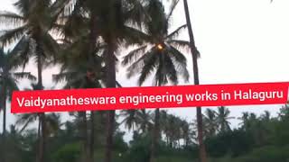 D.k Halli , Halaguru .Sidilu Badidu Thenginamarake Beenki In Dalavaikodali In Halaguru H