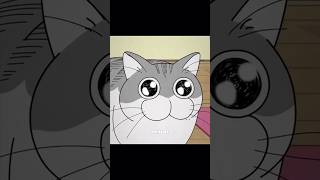 ВЕЧНАЯ КЛАССИКА 😅🤣| «Вечера с кошкой» #аниме #кот