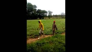 Comédia,Li Mané Participação Zé Vitorino