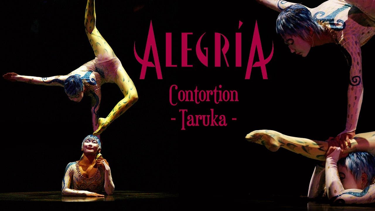 Alegría【2013】- Contortion