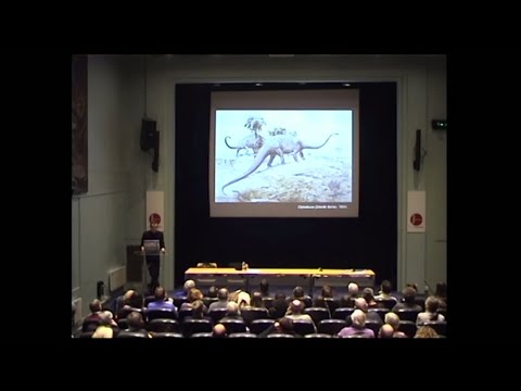 Vidéo: Dolmen Avec Un Dinosaure - Vue Alternative