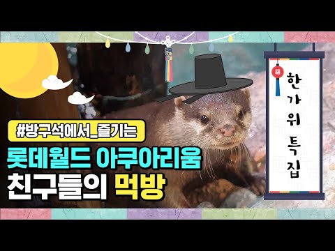 한가위 특집! 추석을 준비하는 아쿠아리움 “큰 절 올리움🙇🏻‍♂️&amp;quot;