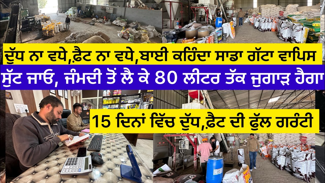 ਦੁੱਧ ਨਾ ਵਧੇ,ਫ਼ੈਟ ਨਾ ਵਧੇ,ਬਾਈ ਕਹਿੰਦਾ ਸਾਡਾ ਗੱਟਾ ਵਾਪਿਸ ਸੁੱਟ ਜਾਓ,ਜੰਮਦੀ ਤੋਂ ਲੈ ਕੇ 80 ਲੀ: ਤੱਕ ਜੁਗਾੜ ਹੈਗਾ 1…