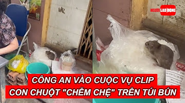 Công an vào cuộc vụ clip con chuột "chễm chệ" trên túi bún | Báo Người Lao Động