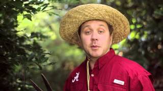 SEC Shorts - Blake Sims or Jacob Coker?