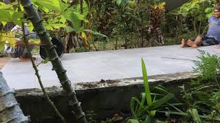 LOVEBIRD STRESS THERAPY FOR XONSLET