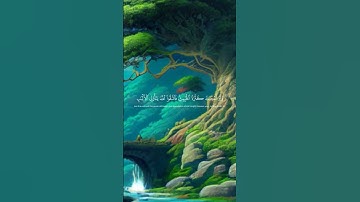 #قرآن #quran #القرآن_الكريم #تلاوة_هادئة #تلاوة_خاشعة  أكتب شيئ تؤجر عليه 🙏