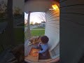 kid eats with wolf #wolf #ringcamera #footage #viral #viralvideo
