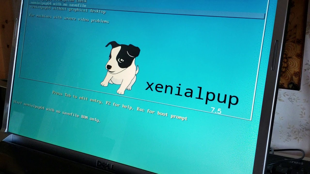 Xenialpup kernel panic on loading last saved session
