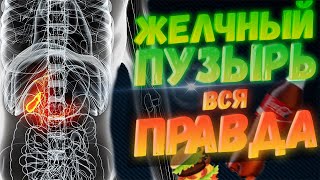 картинка: Желчный пузырь. Вся правда.