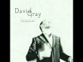 gossamer thread - david gray