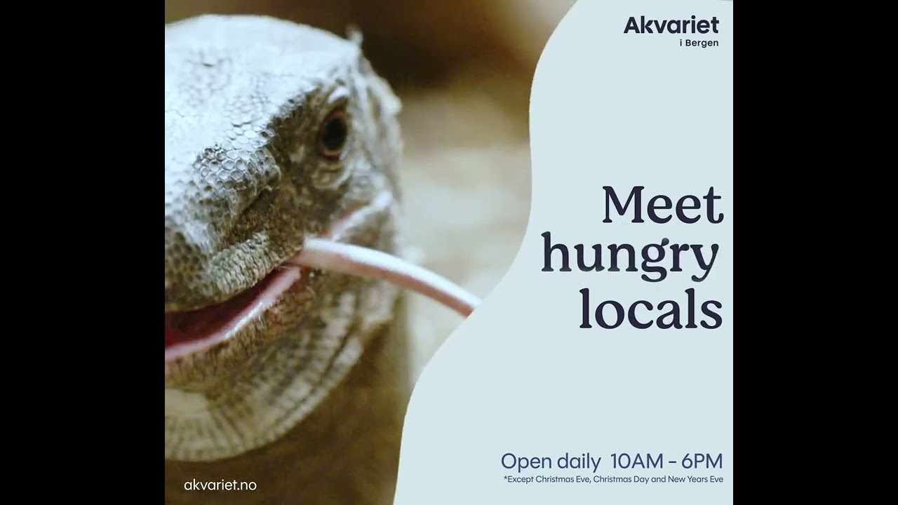 Meet the locals at Bergen Aquarium!