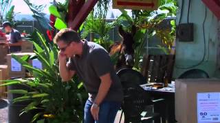 Matt Damon Entourage cameo