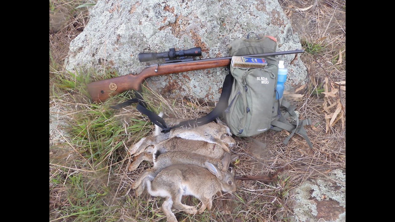 Lithgow 1B on the Rabbits. Eight for Seven. - YouTube