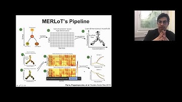 Reconstructing complex lineage trees from scRNA-seq data using MERLoT
