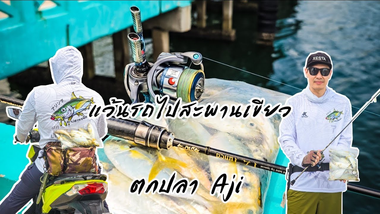 ตกปลา Aji สะพานเขียว #เกาะสีชัง #aji 