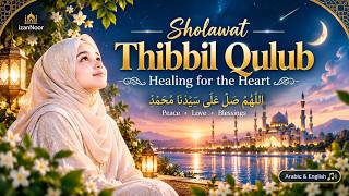 Sholawat Thibbil Qulub | Healing for the Heart 🤍 | Arabic & English Islamic Song. 