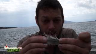 vivalranger magazin 1 ganze folge hd survival doku 35 min