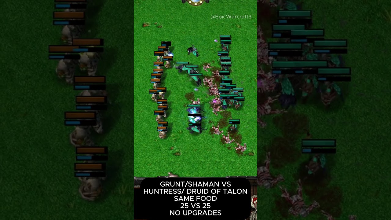 Grunt/Shaman vs Huntress/Druid of Talon (Same Food) (25v25) (No Upgrades) - Warcraft 3