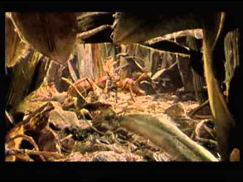 Cherie J Ai Retreci Les Gosses 1 La Bande Annonce Vf 