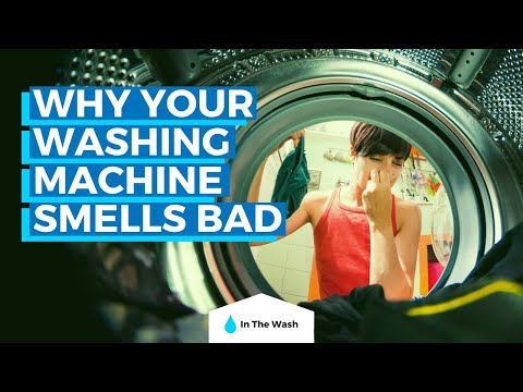 Why Your Washing Machine Smells Bad - Causes and Solutions
