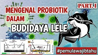 UNDERSTANDING PROBIOTICS AND THEIR USE IN CATFISH CULTIVATION PART. I / PROBIOTICS FOR WATER QUALITY