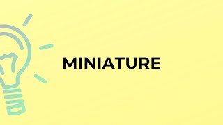 What is the meaning of the word MINIATURE?