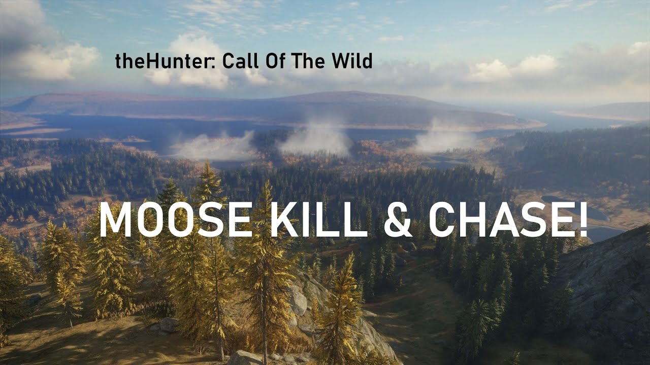 theHunter: COTW. EPIC MOOSE CHASE WITH BEGINNER RIFLE!
