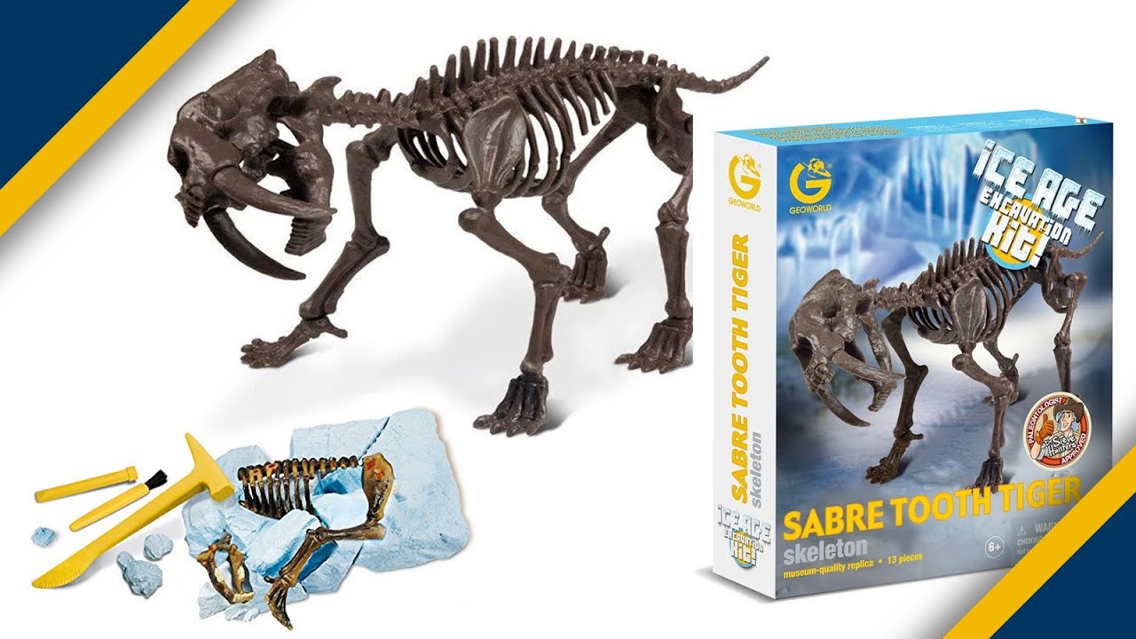 Ice Age Excavation Kit! Sabre Tooth Tiger Skeleton by Geoworld 