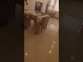 Indoor Ferrari RC Car Action Scenes Captured With Third Person FPV Drone Flying UsingNaked Lightweig
