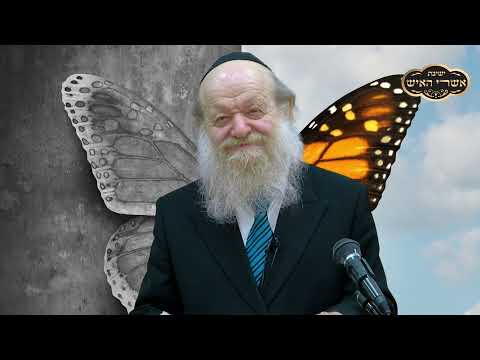 פרשת בלק | ההתמכרות הופכת את החכם לטיפש | הרב יוסף צ. בן פורת - תשע"ז