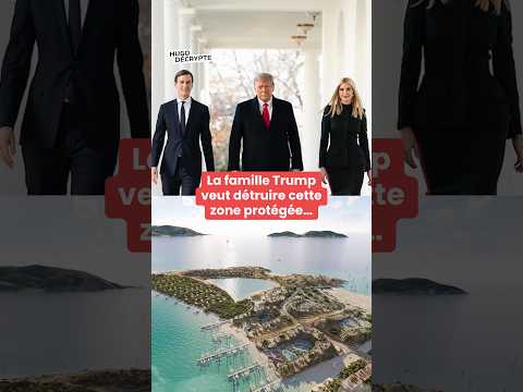 La famille Trump veut détruire cette zone protégée pour y construire des hôtels de luxe