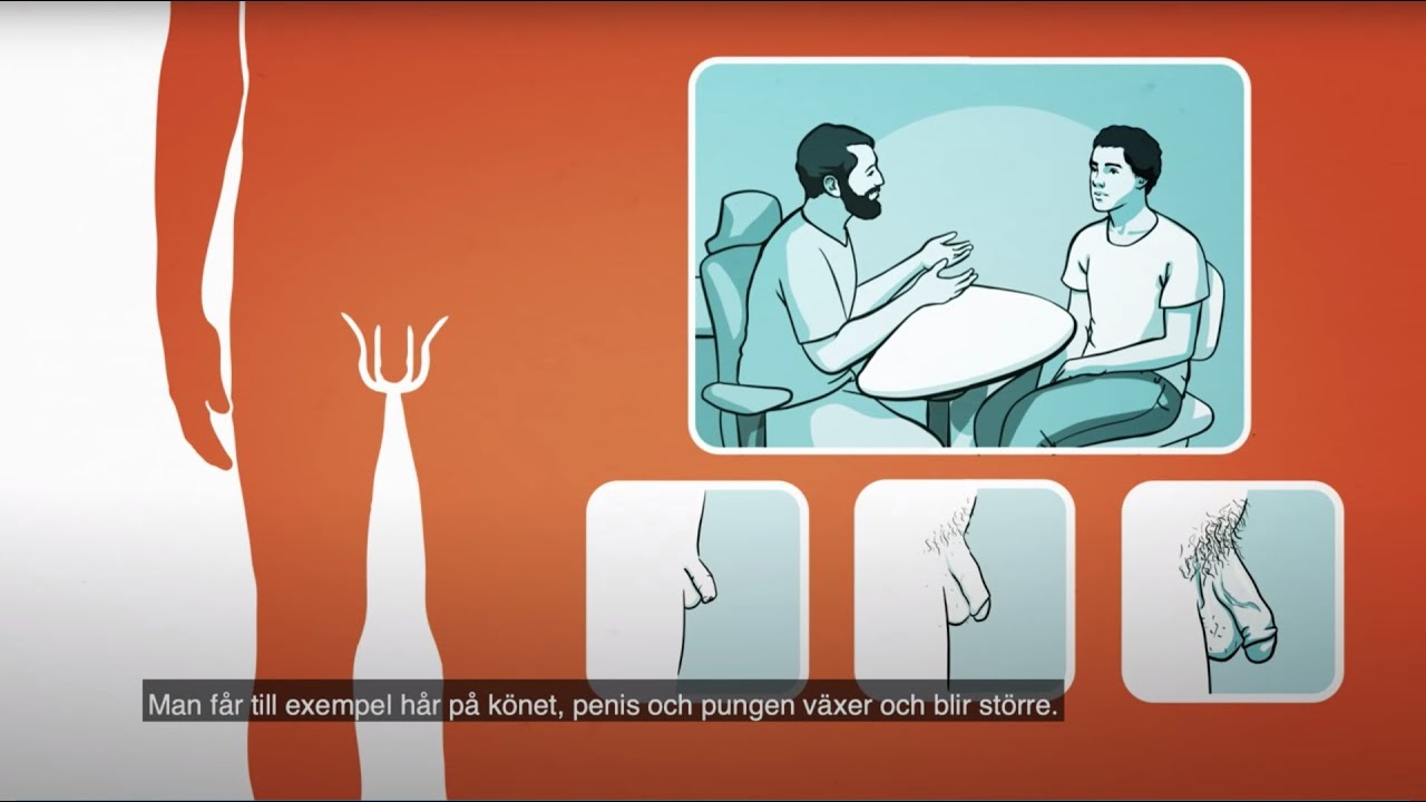 Penis pung / mannens kön | RFSU informerar om penis pung / mannens kön på svenska
