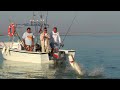 Pecanje nilskog grgeča u Egiptu na jezeru Naser I deo | Fishing Nile perch in Egypt